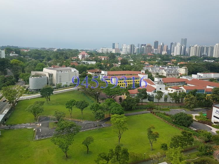 Tanglin Regency (D10), Condominium #170181602